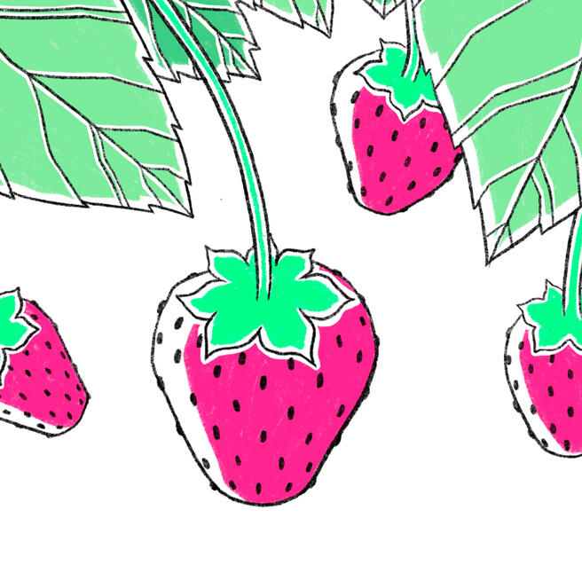 sprout